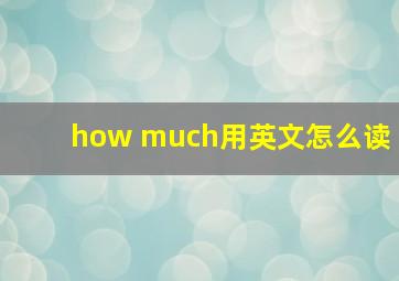 how much用英文怎么读